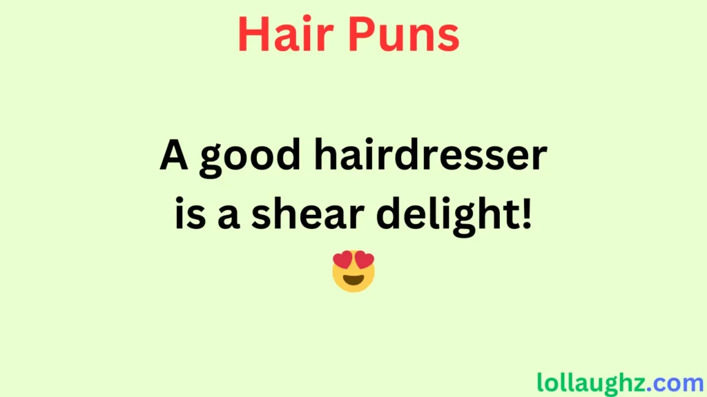 Hairdresser & Barber Puns 