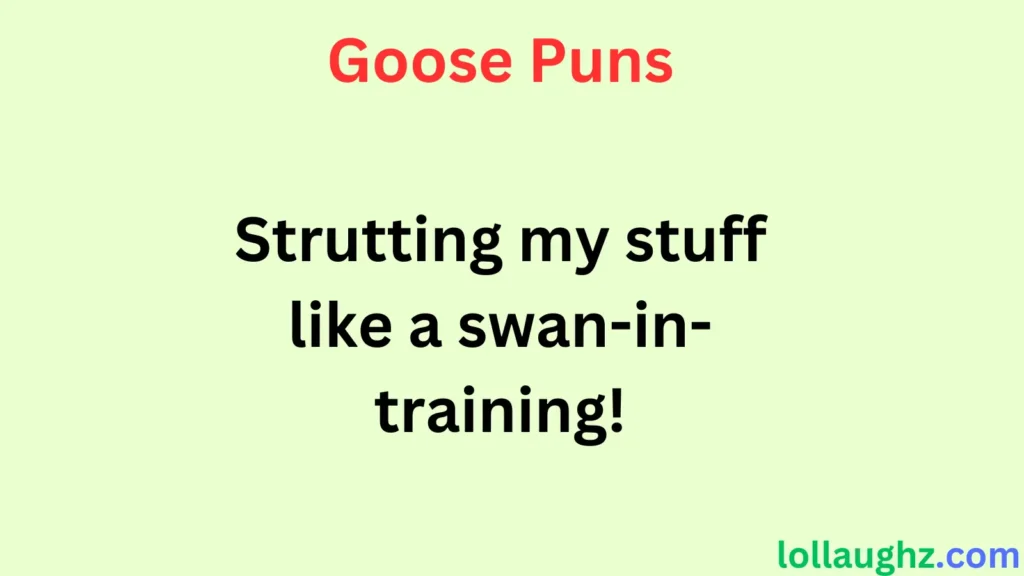 Best Goose Puns for Instagram Captions