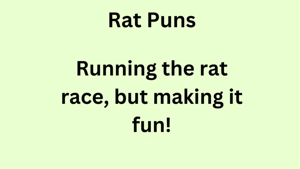 Best Rat Puns for Instagram Captions