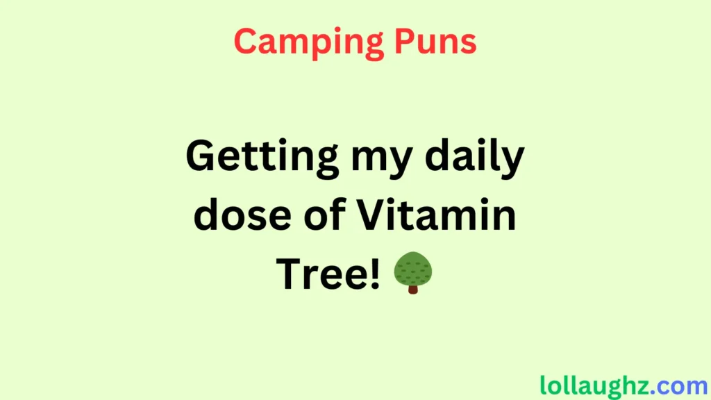 Camping Puns for Hiking & Adventure 