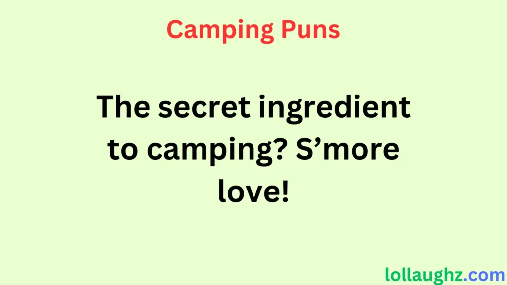 Camping Puns for S’mores & Food Lovers 