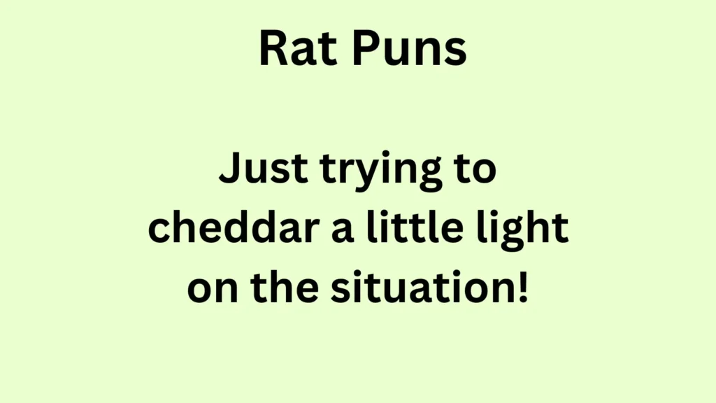 Cheesy Rat Puns for Food Lovers