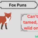 Fox Puns