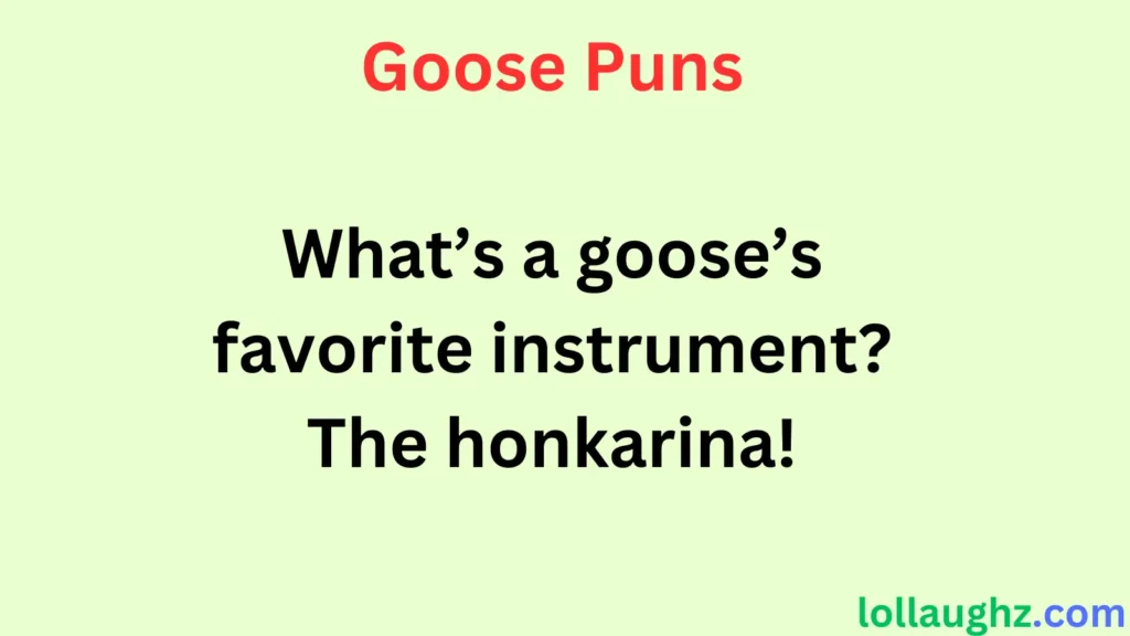 Funny Goose Puns for Jokes & Laughs