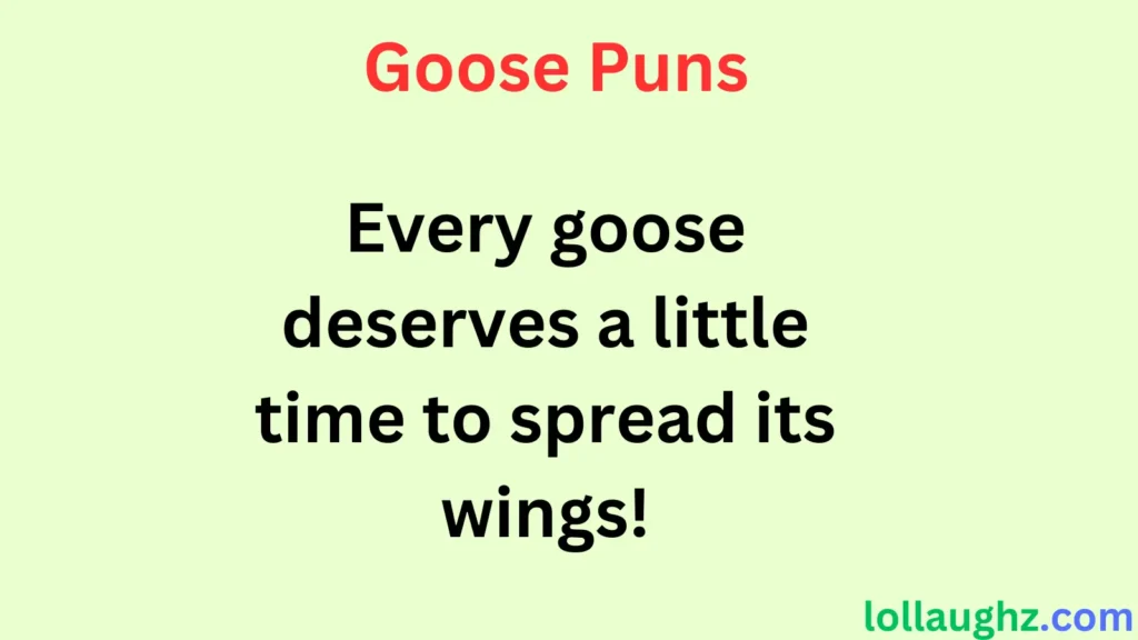 Goose Puns for Nature & Bird Lovers