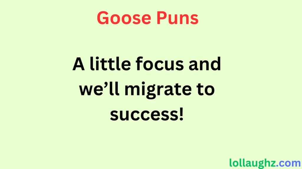 Goose Puns for Work & Productivity