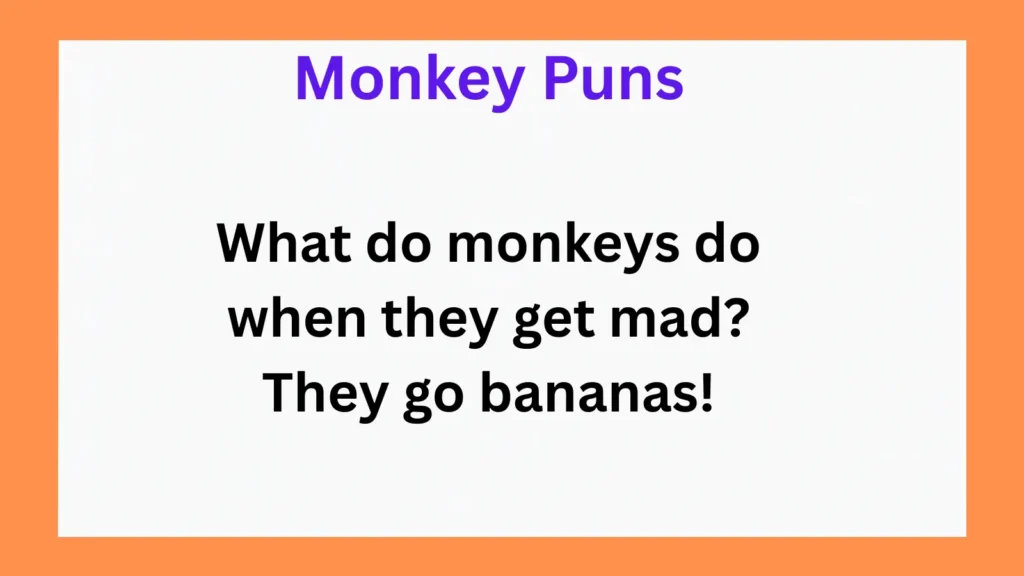 Monkey Jokes and Wordplay for Everyday Fun