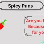 Spicy Puns